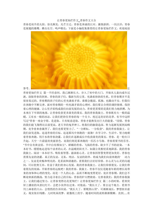 让青春更灿烂作文_青春作文大全