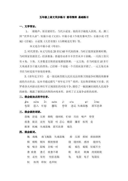 统编(部编)版语文五年级上册 第六单元 慈母情深 同步练习11(含答案)