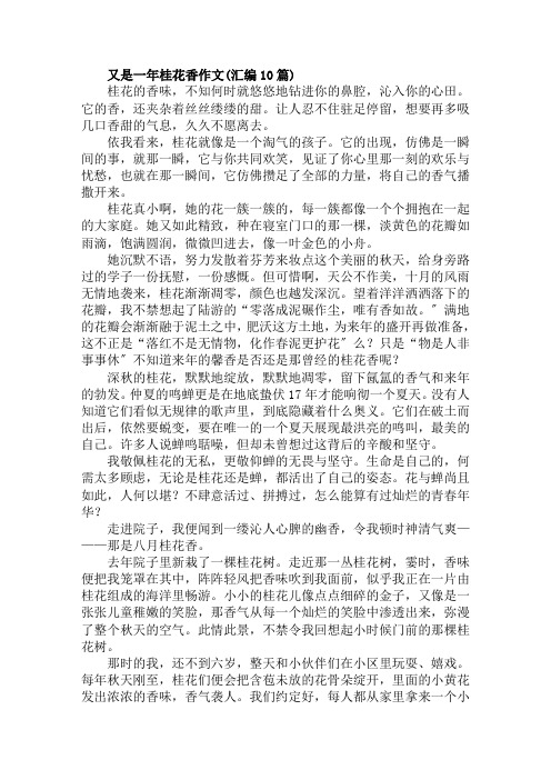 又是一年桂花香作文(汇编10篇)范文精选