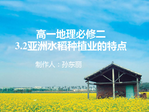 0408高一地理必修二3.2亚洲水稻种植业的特点(孙东丽)