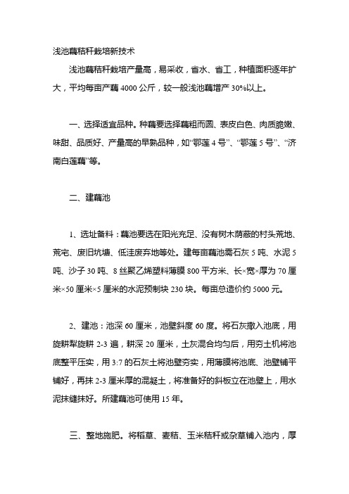 浅池藕秸秆栽培新技术