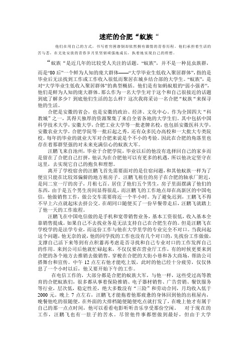 蚁族调查
