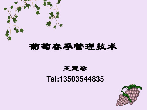 (完整版)葡萄春季管理技术