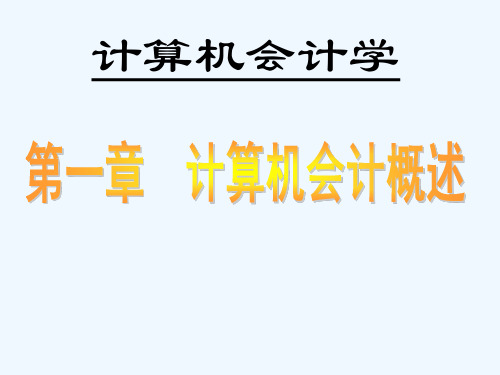 计算机会计学
