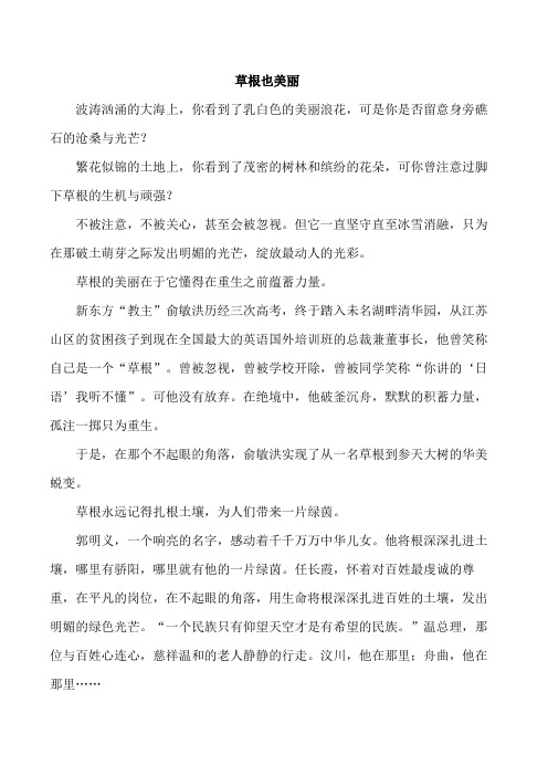 草根也美丽 高中作文： 不起眼的地方也会蕴藏伟大