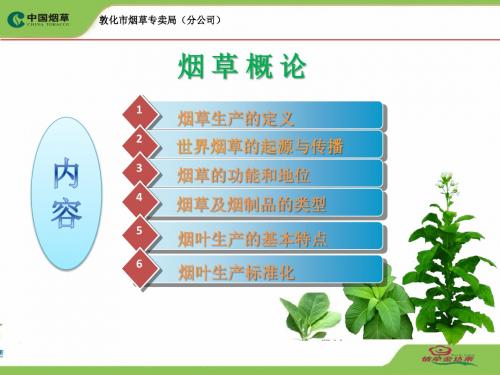 1、烟草概论