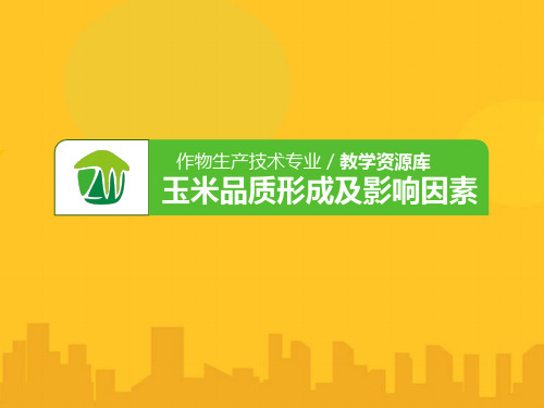 玉米的品质形成及影响因素PPT资料优秀版