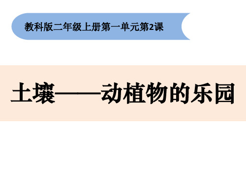 二年级上册科学《土壤——动植物的乐园》教科版