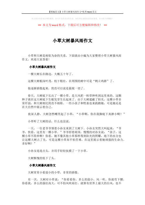 【精编范文】小草大树暴风雨作文-优秀word范文 (2页)