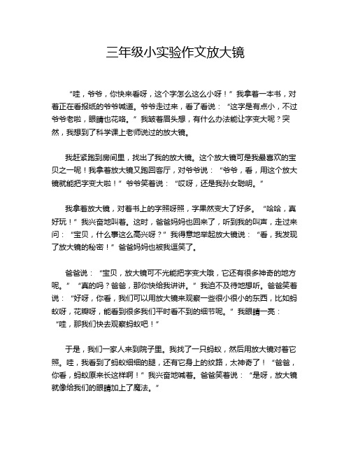 三年级小实验作文放大镜