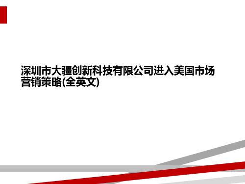深圳市大疆创新科技有限公司进入美国市场营销策略(全英文)