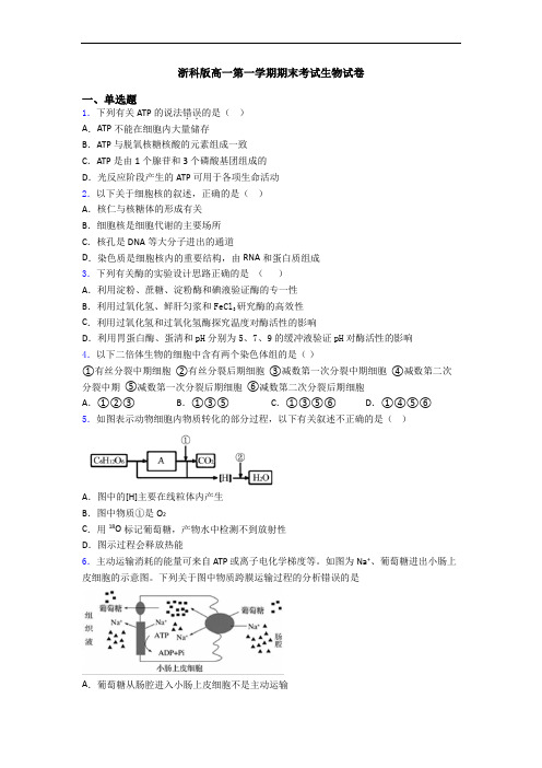 浙科版高一第一学期期末考试生物试卷