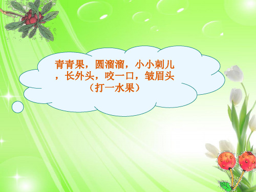 《我爱故乡的杨梅》.PPT