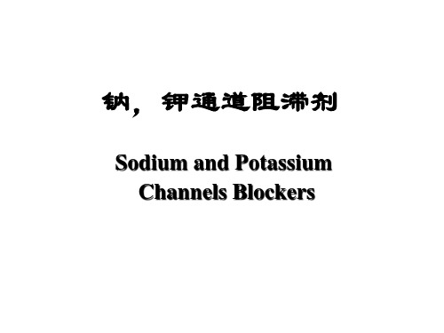 钠,钾通道阻滞剂-精品医学课件