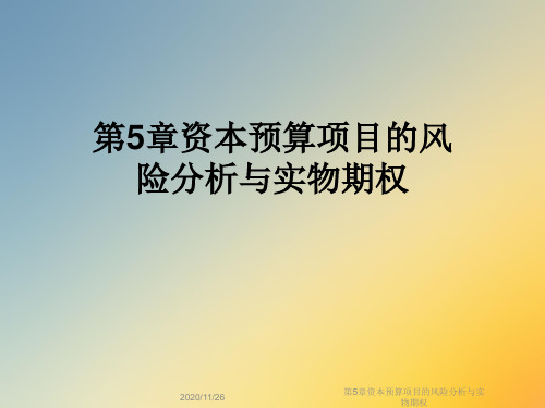 第5章资本预算项目的风险分析与实物期权