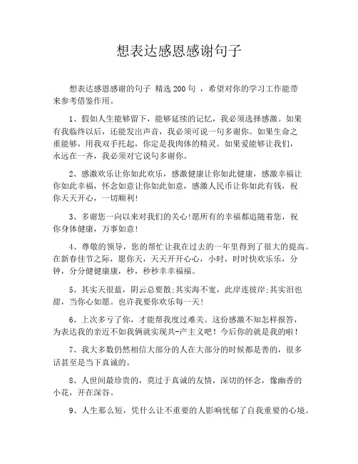 想表达感恩感谢句子