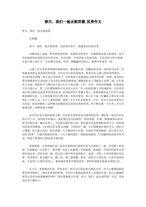 春天,我们一起去割苜蓿_优秀作文
