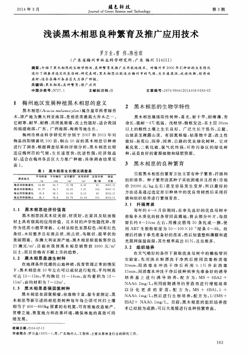 浅谈黑木相思良种繁育及推广应用技术