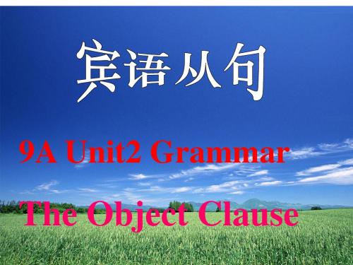 牛津译林英语 九年级上册Unit2Grammar (共21张PPT)