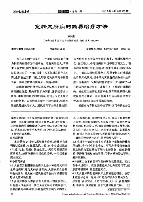 宠物犬脐疝的简易治疗方法
