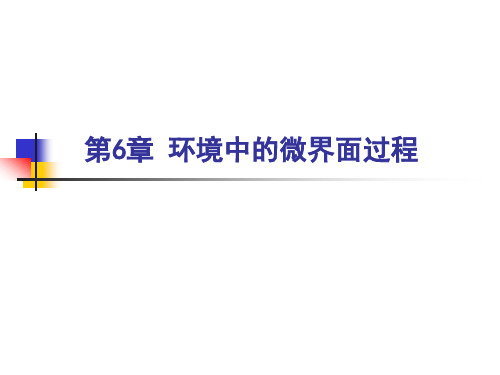 第6章环境中的微界面过程