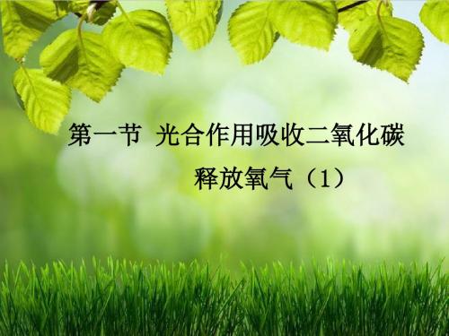 人教版(新课程标准)光合作用吸收二氧化碳释放氧气(第一课时)课件19张PPT 素材