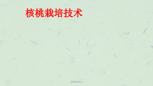 核桃栽培技术课件