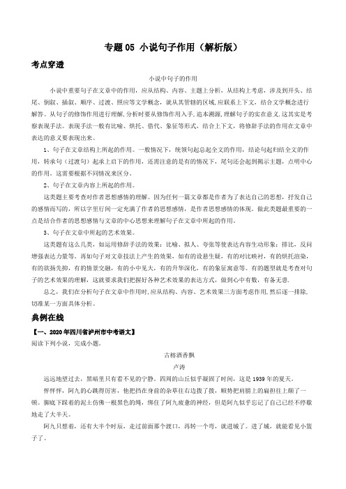 专题05 小说句子作用(解析版)-2021年中考语文考前抓大分技法之小说阅读