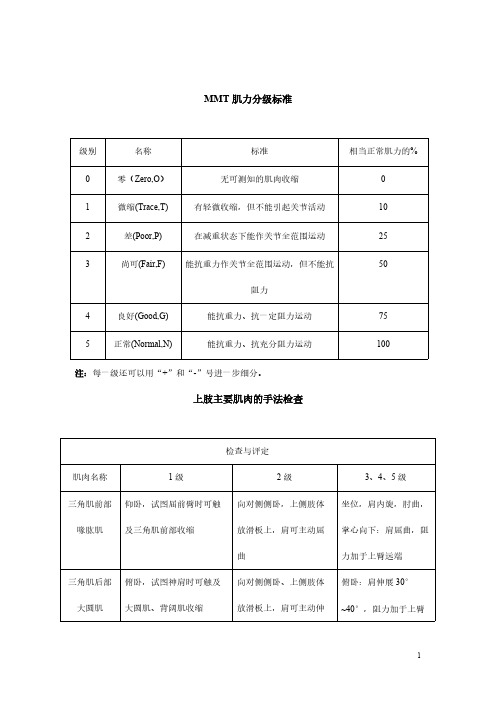 MMT肌力分级标准