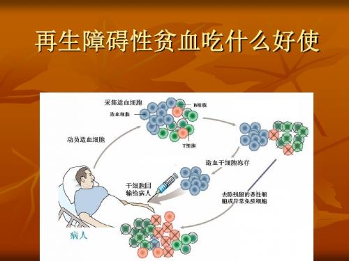 再生障碍性贫血吃什么好使