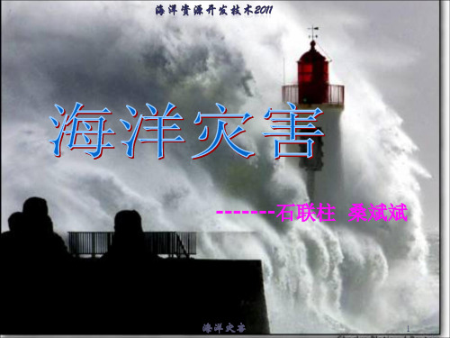 海洋灾害