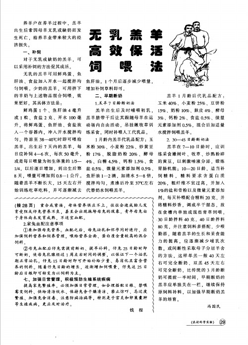 无乳羔羊高效保活饲喂法