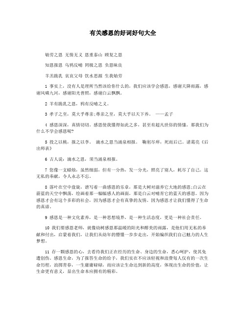 有关感恩的好词好句大全