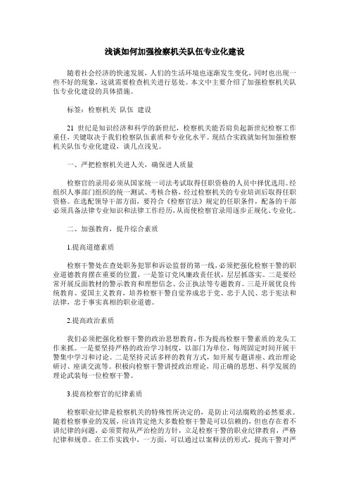 浅谈如何加强检察机关队伍专业化建设