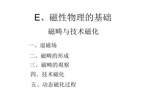 E磁性物理的基础-磁畴与技术磁化