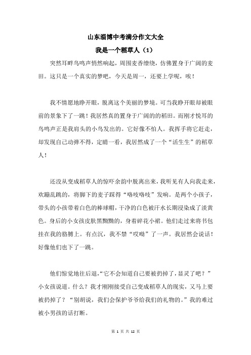 山东淄博中考满分作文大全