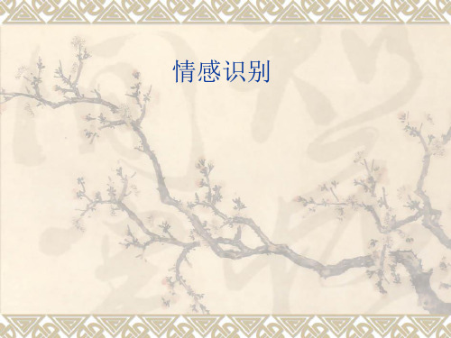情感识别