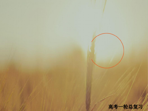最新-2021版高考一轮总复习物理课件 第9章 磁场 91 精品