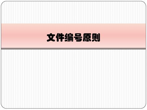 10文件编号原则