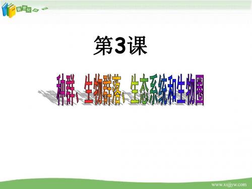 第三课时种群群落和生态系统(浙江省温州市)