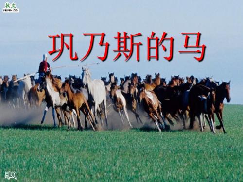 【高中语文】巩乃斯的马ppt精品课件32