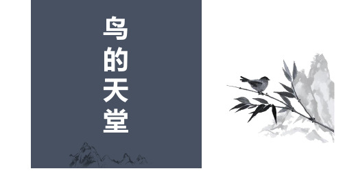 《鸟的天堂》PPT优秀课件【完美版课件】