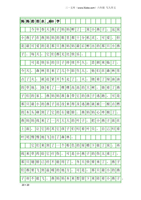 六年级写人作文：妈妈的泪水_650字
