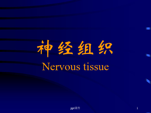 组织胚胎学--神经组织  ppt课件