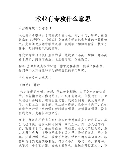 术业有专攻什么意思