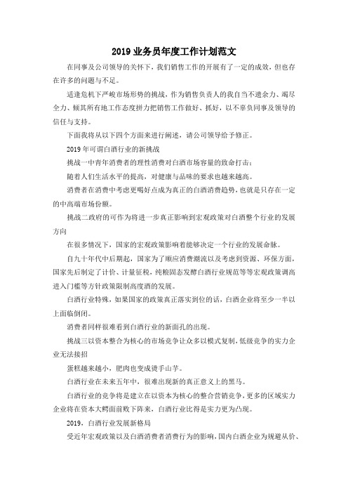 最新-2019业务员年度工作计划范文 精品