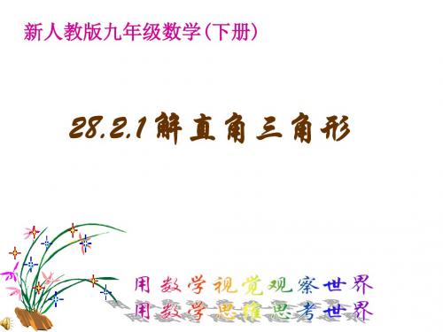 28.2.1解直角三角形
