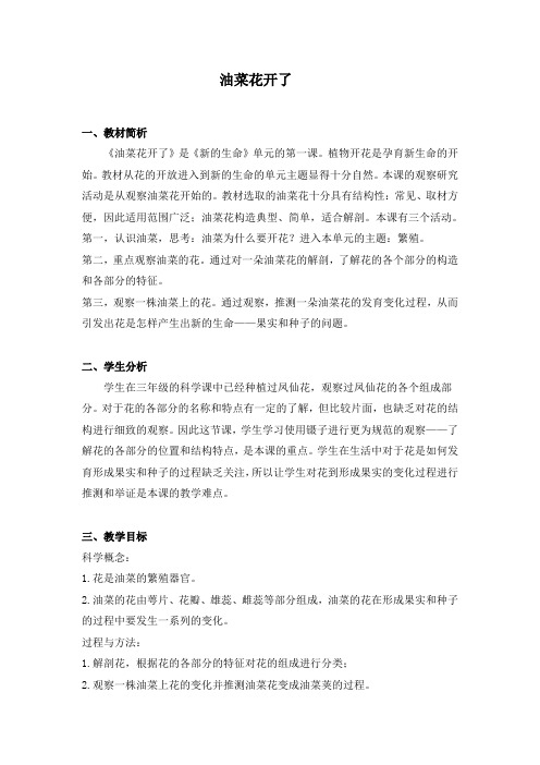 油菜花开了教案(研究课)