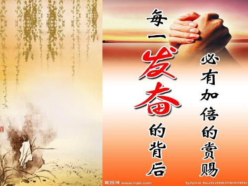 单项式乘单项式和单项式乘多项式