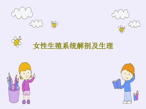 女性生殖系统解剖及生理共73页
